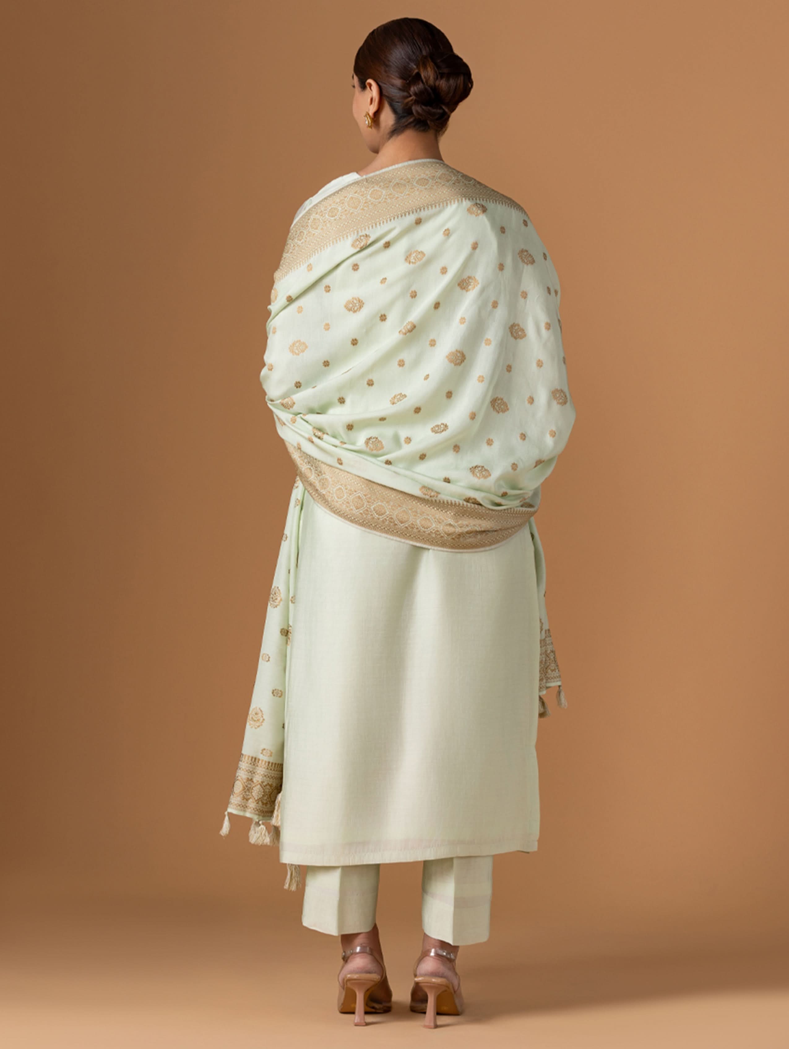 Woman wearing a light green saree with a beige border on a brown background